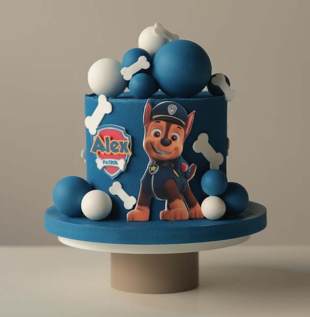 PAW patrol blue